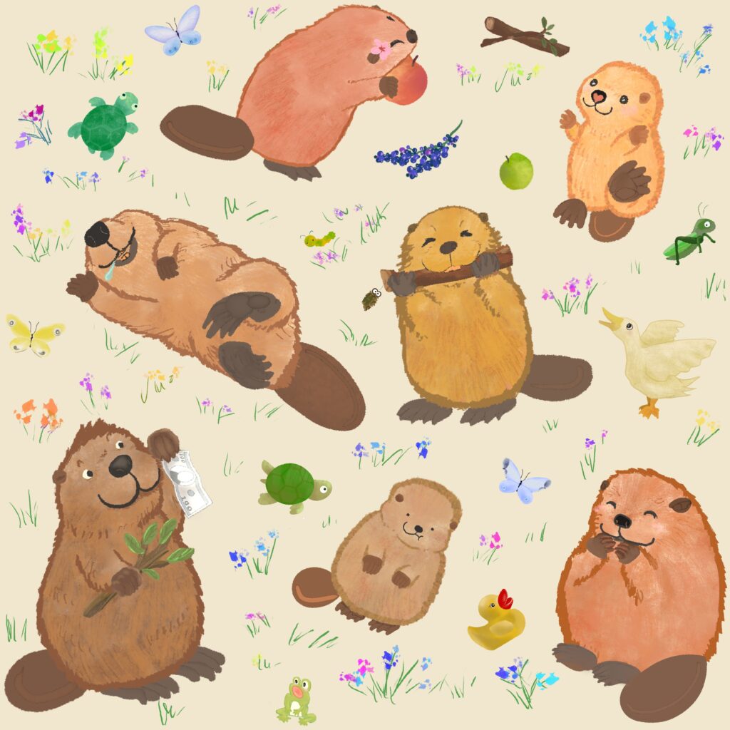 beaver fabric1