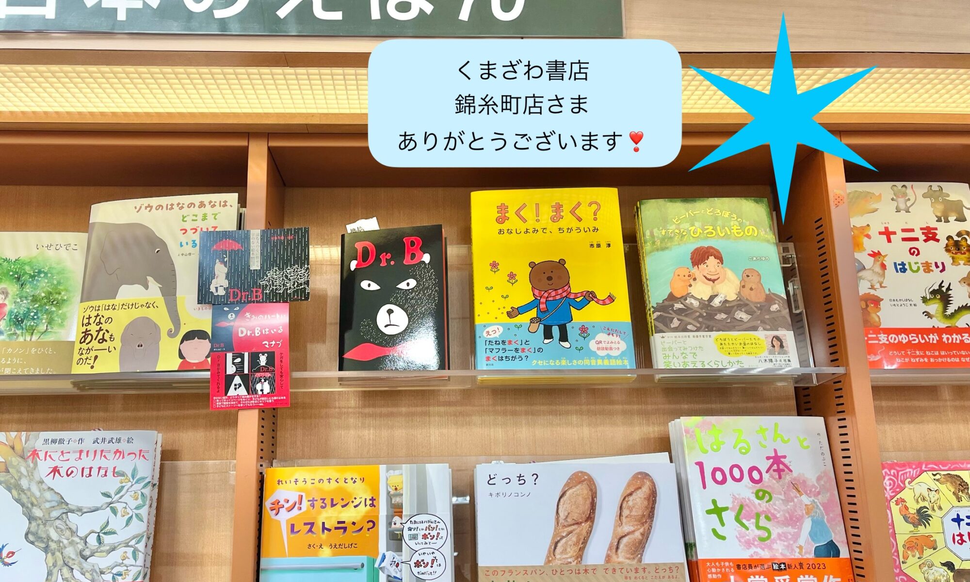 kumazawa_book