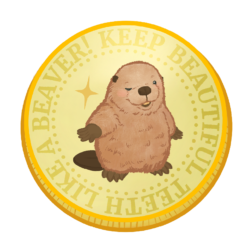 ハの字ビーバー丸